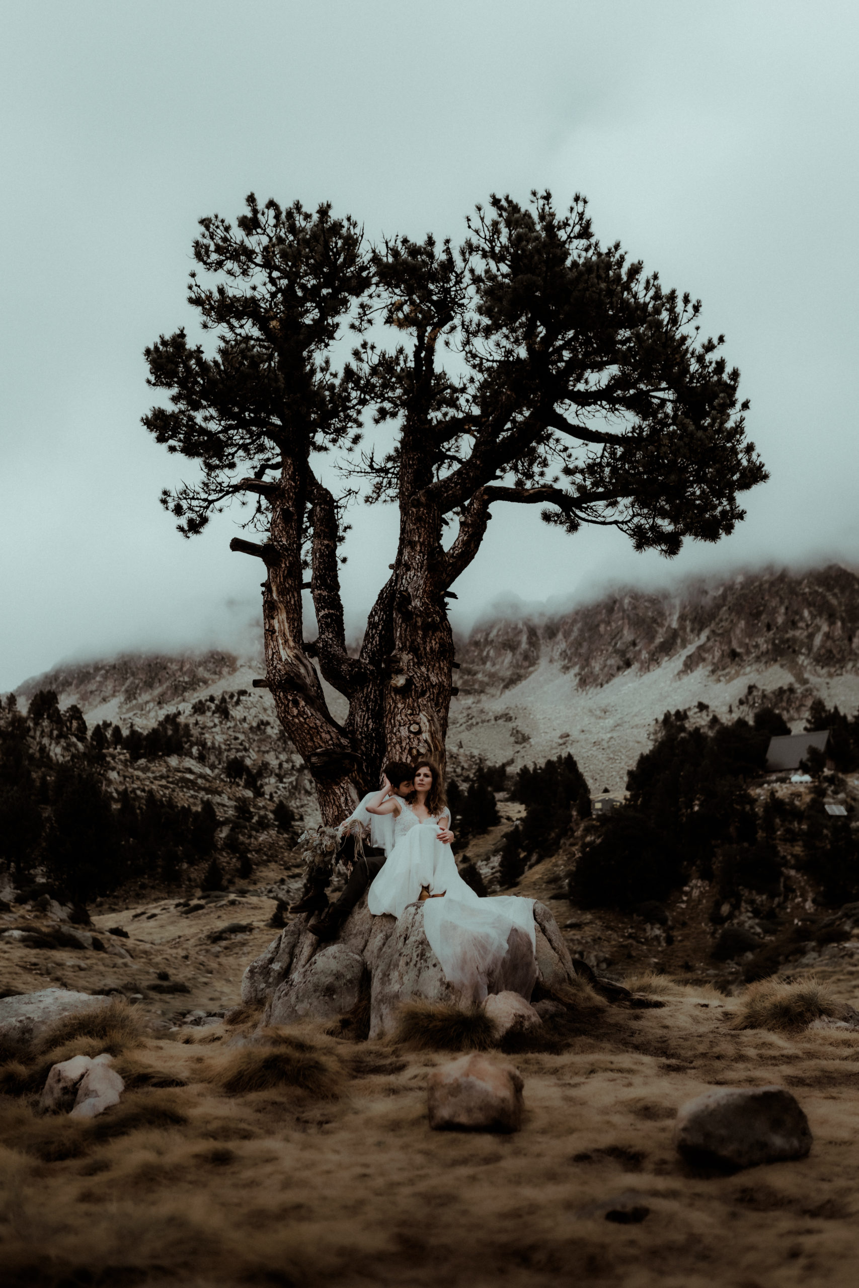 Un couple est assis au pied d'un arbre dans les montagnes des Pyrénées pendant leur séance photo couple.