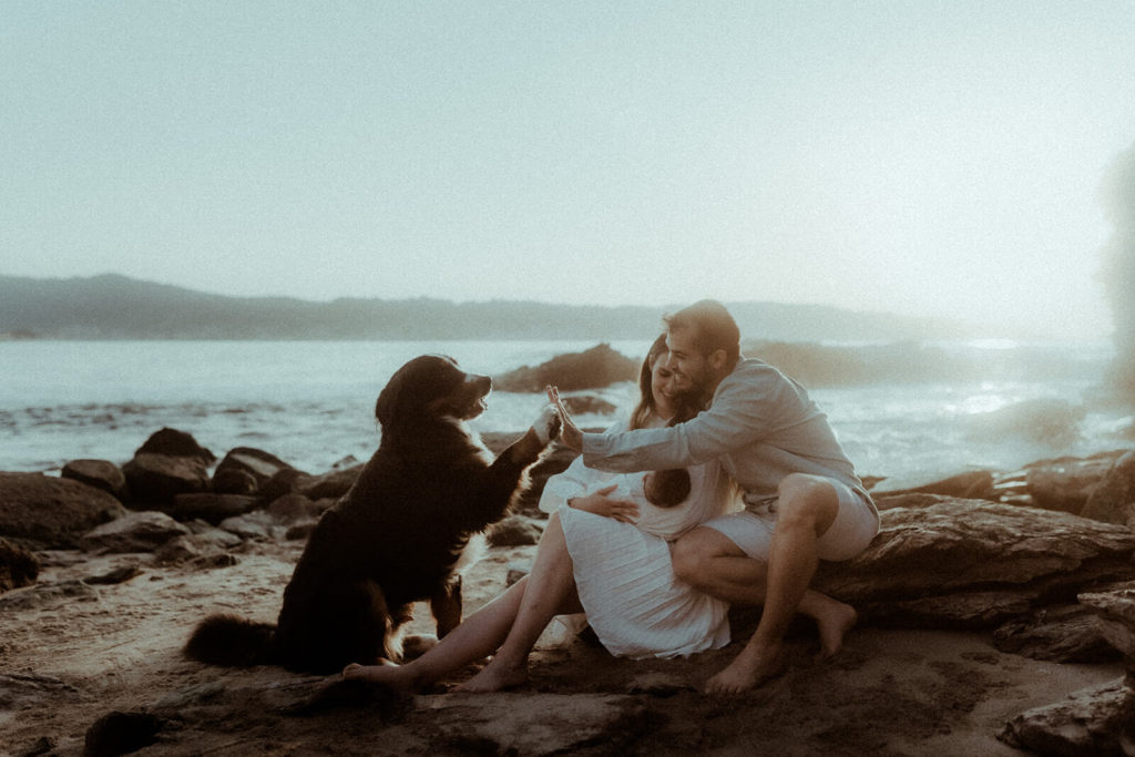 Une famille est assise avec leur bébé nouveau-né et leur chien. Ils sont sur la plage d'Hendaye au Pays Basque pour leur séance photo famille.