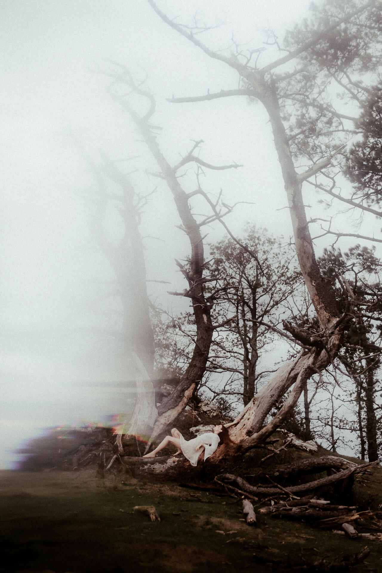 gaetane-glize-portrait-photographie-branding-femme-sauvage-foret-1010-1006